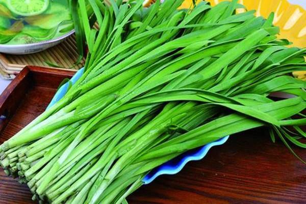 韭菜可以放进冰箱保存吗 韭菜在冰箱里可以放多久 韭菜可以放进冰箱保存吗 韭菜在冰箱里可以放多久