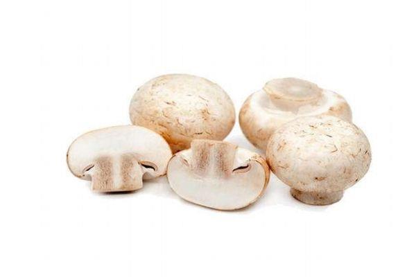 口蘑能和鸡蛋一起吃吗 营养又美味 口蘑能和鸡蛋一起吃吗 营养又美味