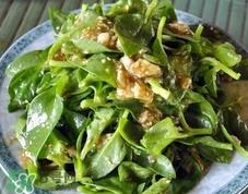 蚂蚱菜洗好后怎么保存?刚采的蚂蚱菜能存放几天 蚂蚱菜洗好后怎么保存?刚采的蚂蚱菜能存放几天