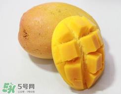 芒果什么季节成熟？芒果什么时候上市？