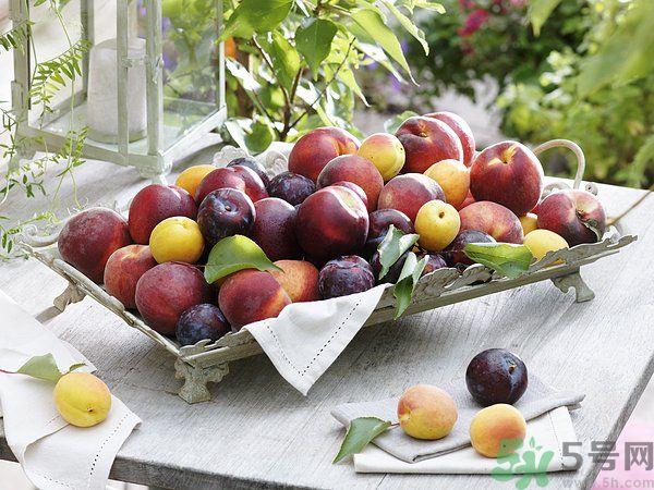 为什么说李子树下埋死人？李子的食用禁忌有哪些？