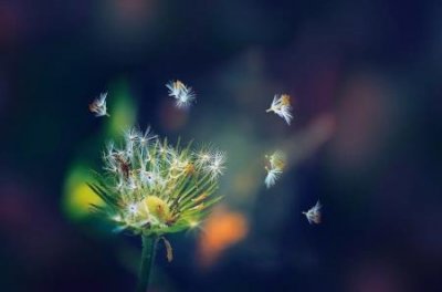 ​趣知识：小龙虾要煮多长时间才熟透小龙虾要煮多长时间才熟