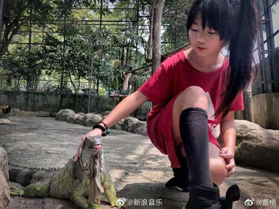 还记得曹格家的Grace姐姐吗？她现在没有小时候可爱