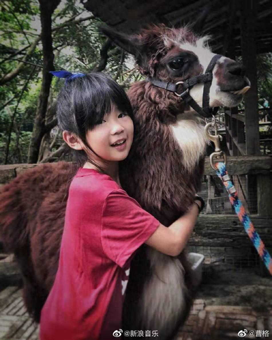 还记得曹格家的Grace姐姐吗？她现在没有小时候可爱