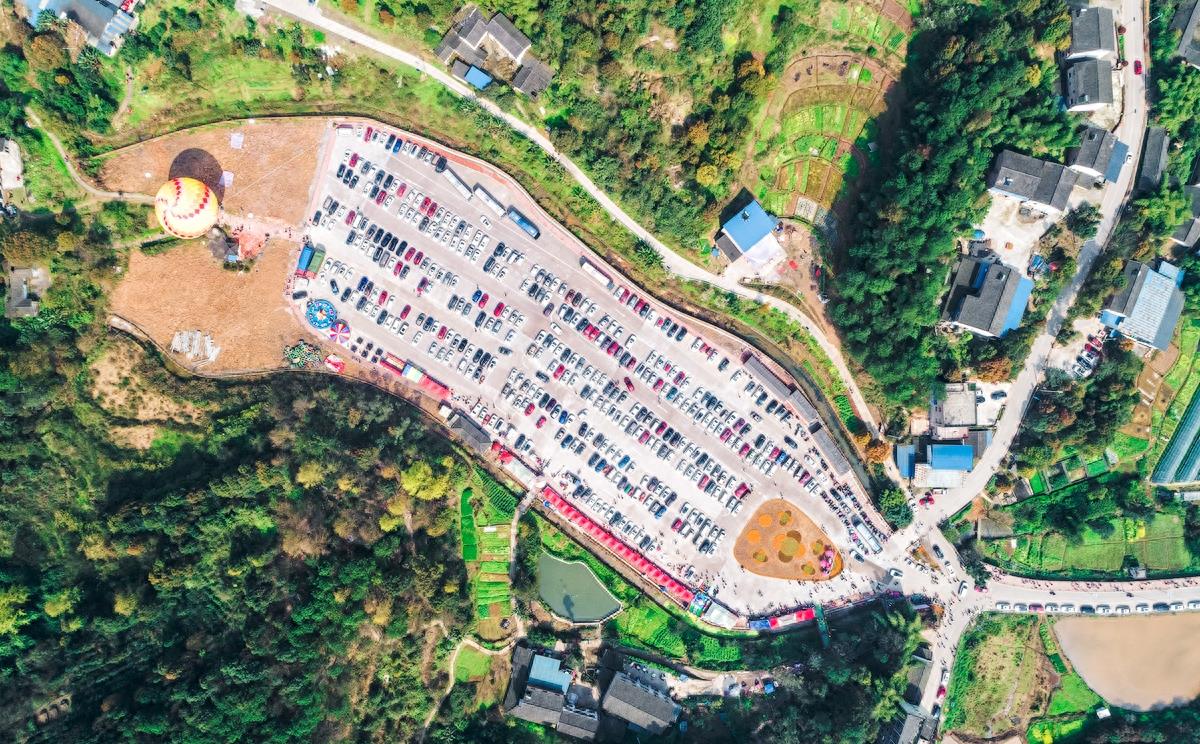 这是哪里，满山的桃花梨花，这是重庆虎峰山桃花节#唤醒好春光#