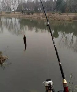 ​矶竿滑漂荡抛方法和技巧，让矶竿滑漂玩出手竿的感受