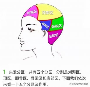 ​美发必修课：学剪发，必须知道头部各个区域名称，如何分区运用