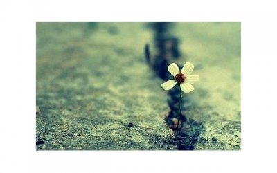 ​老公说他越来越怕见我，感觉自己带不给我快乐