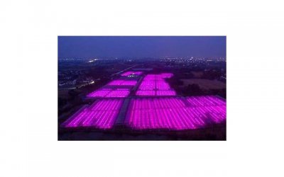 ​老公不主动碰你说明什么