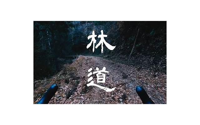 眼睛的说说唯美 关于爱笑的眼睛的说说(精选21句)