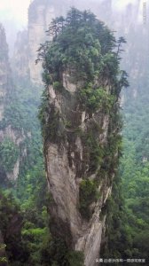 ​一代英雄曹操：“治世之能臣，乱世之奸雄”