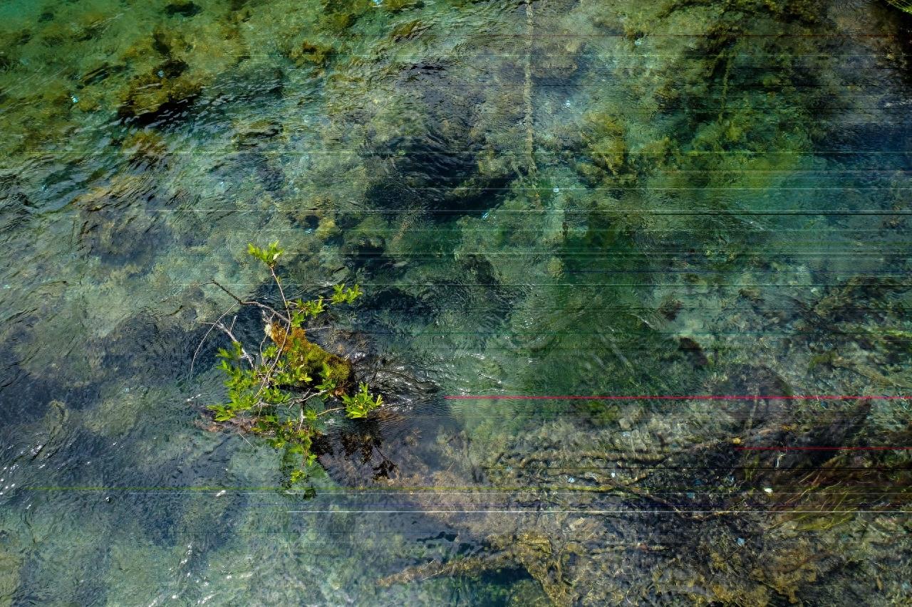 熊猫海位于四川九寨沟，海拔2587米，深14米