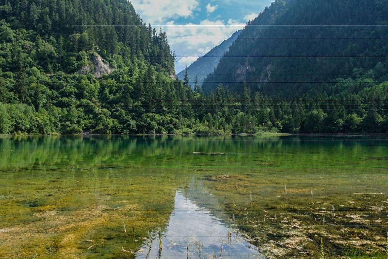 熊猫海位于四川九寨沟，海拔2587米，深14米