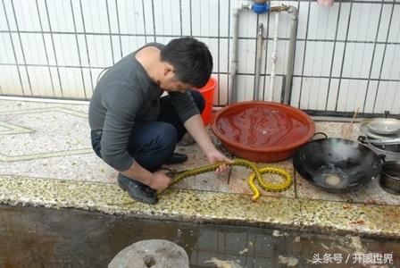 实拍:血腥的杀蛇全过程