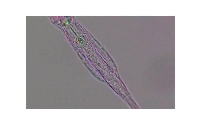 伤透了老婆的心怎么样能挽回，伤透了老婆的心，如何挽回边缘的婚姻？