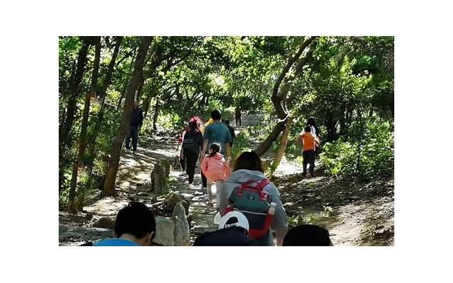 介绍yygq的真正含义看完让你对婚姻有全新认识