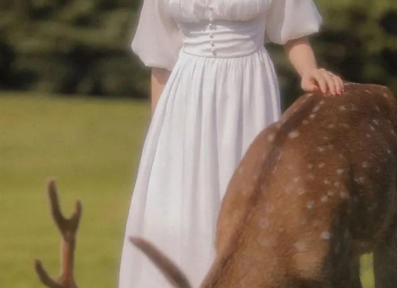 白带不拉丝怎么办 白带不拉丝为什么 白带不拉丝怎么办 白带不拉丝为什么