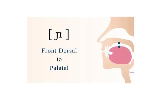 离婚后可不可以对财产分割起诉