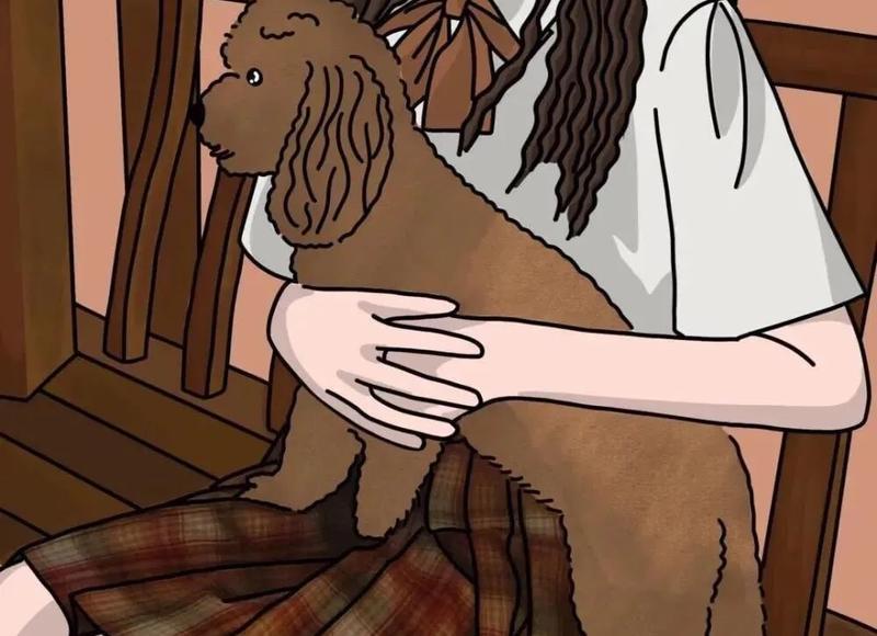 起诉离婚时，法院在分割财产的时候会遵循哪些原则