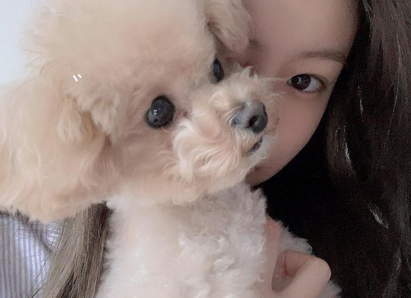 结婚三年离婚能不能退还礼金 结婚三年离婚能不能退还礼金