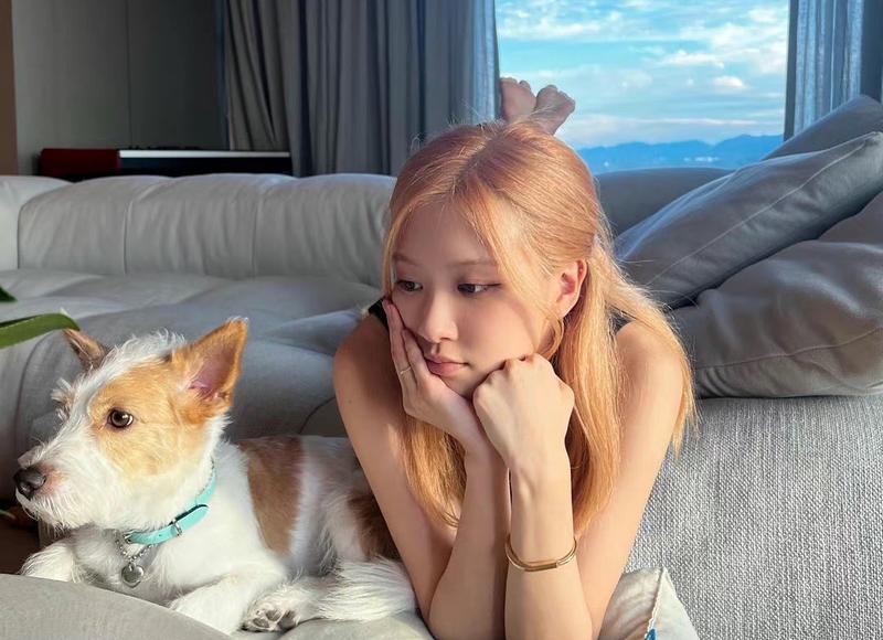 吴孟达双胞胎女儿(吴孟达丧礼前女友与女儿缺席) 吴孟达双胞胎女儿(吴孟达丧礼前女友与女儿缺席)