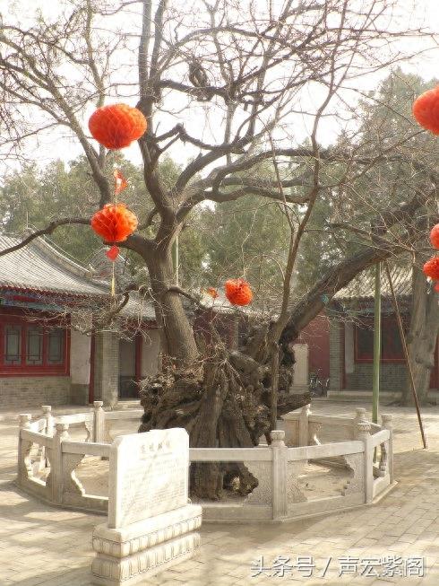 金榜题名是人生四大喜事之一,在什么地方题名您可能不知道