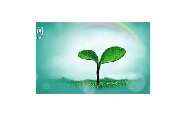 为什么很多人在结婚前分手 符合5条就该分手了 为什么很多人在结婚前分手 符合5条就该分手了