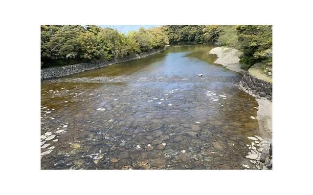 妻子买的车登记在丈夫名下离婚时如何分割 妻子买的车登记在丈夫名下离婚时如何分割