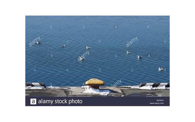 如何重新获得爱人的心?如何让爱人的心重新回到身边?