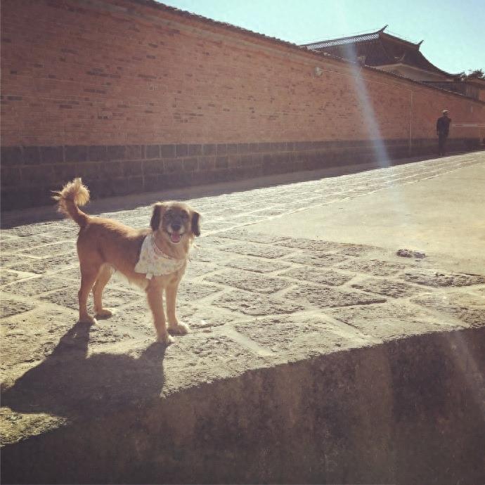 原来《我的团长我的团》的禅达就是在这里拍摄的