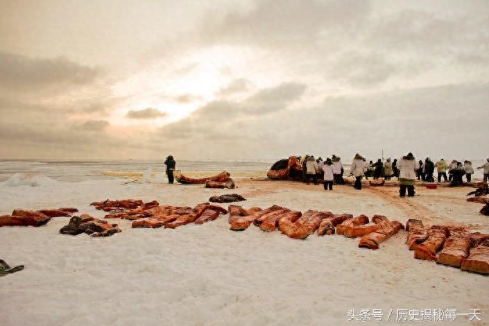 实拍爱斯基摩人捕鲸全过程