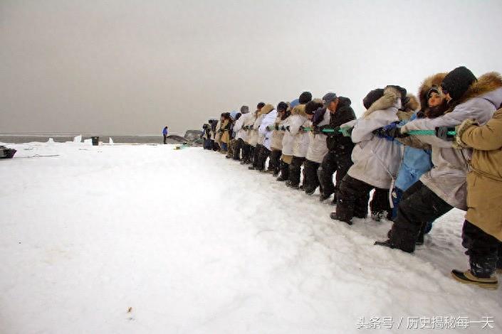 实拍爱斯基摩人捕鲸全过程