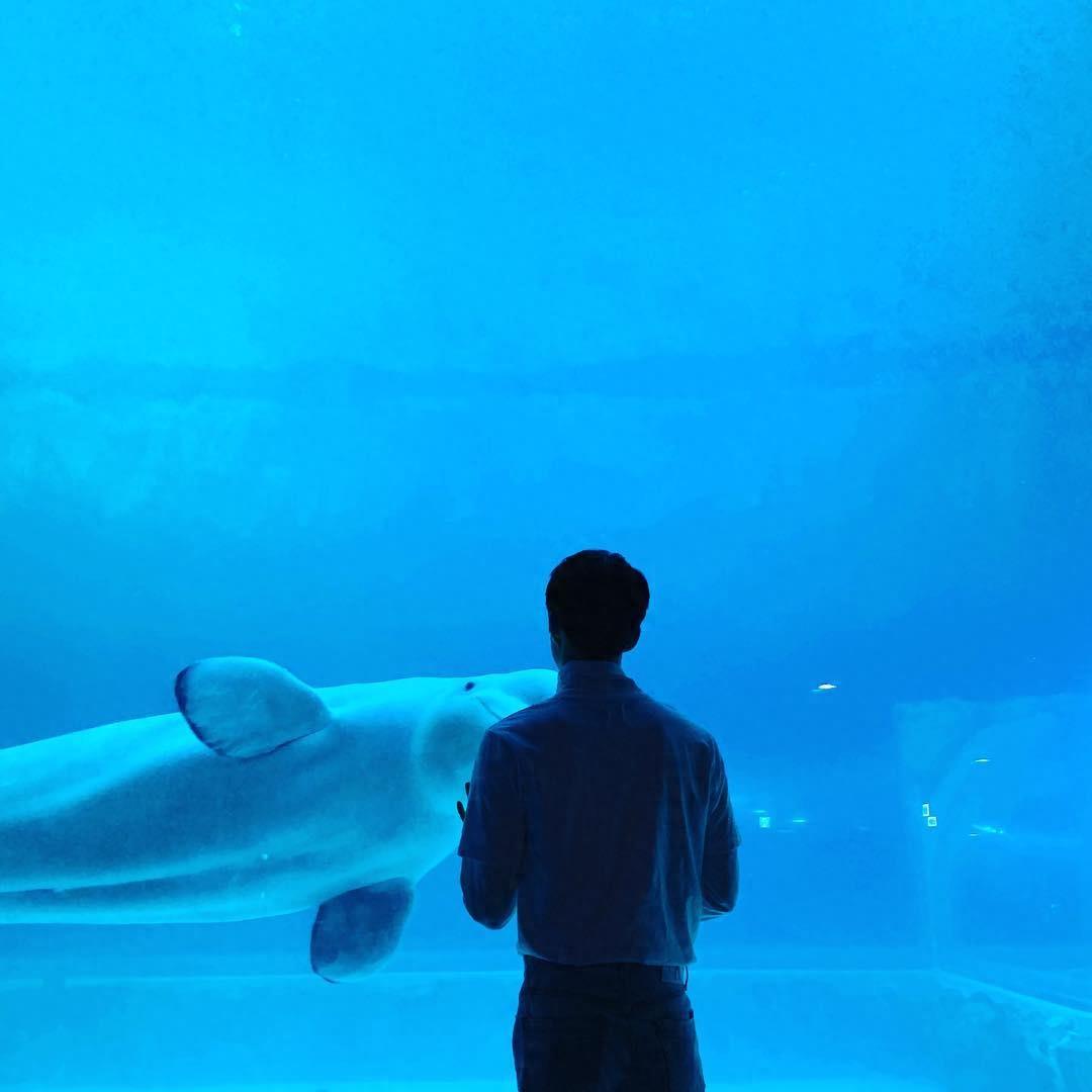 EXO吴世勋ins近期更新,游客照拍的清新脱俗,难掩帅气本色