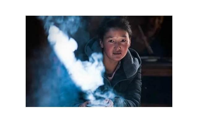 十一月份什么花开？十一月份什么花开得最旺