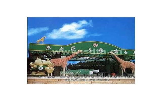 健康一是指什么？介绍健康与爱情的关系