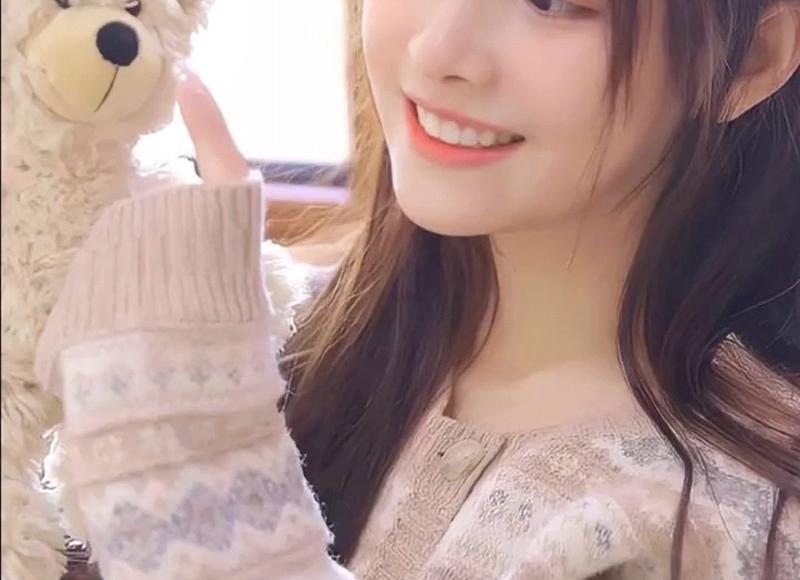 八角树适合什么地方种?