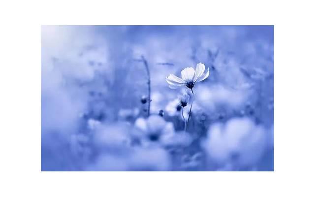  人到中年意味着什么