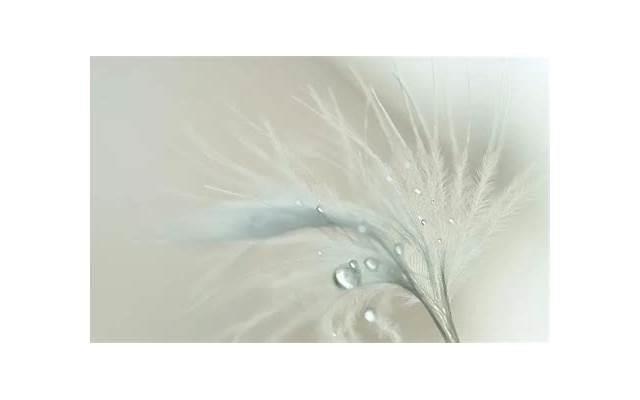 免费的找女朋友软件都有什么？