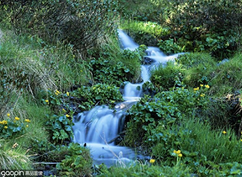 微信中为什么有那么多好友地区为安道尔？这回终于知道了