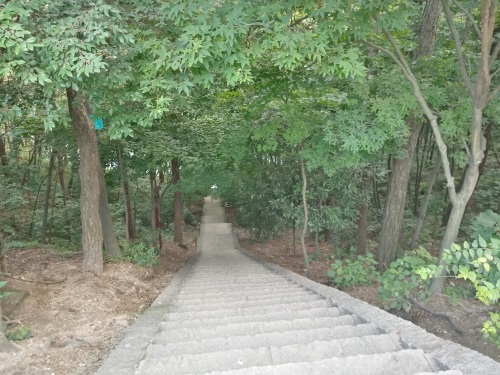 新县金兰山国家森林公园，八百罗汉栩栩如生，不可错过的一道美景