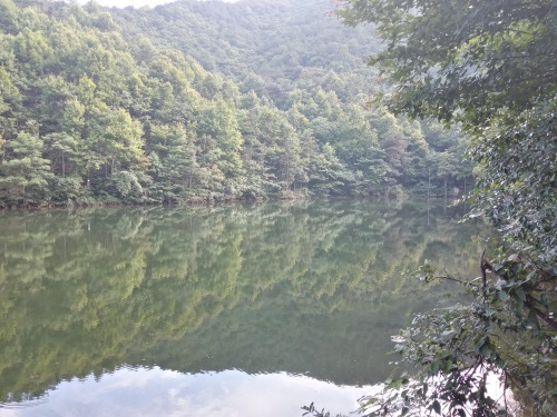 新县金兰山国家森林公园，八百罗汉栩栩如生，不可错过的一道美景