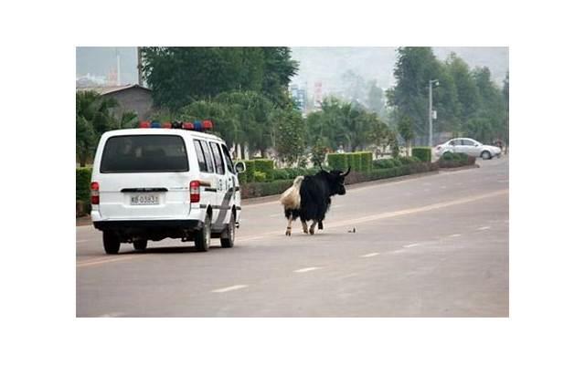 和女朋友吵架了？别慌！这里有一些建议来修复关系！