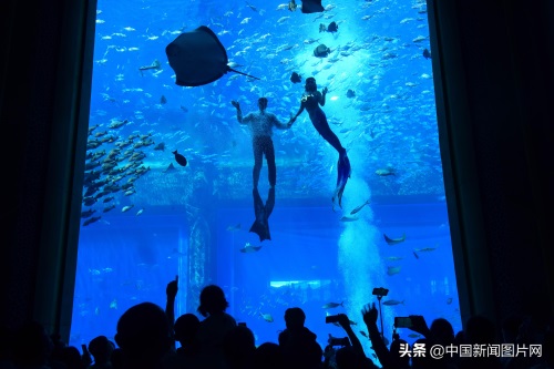 海南三亚：亚特兰蒂斯水族馆 吸引游客