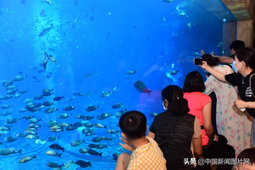 海南三亚：亚特兰蒂斯水族馆 吸引游客