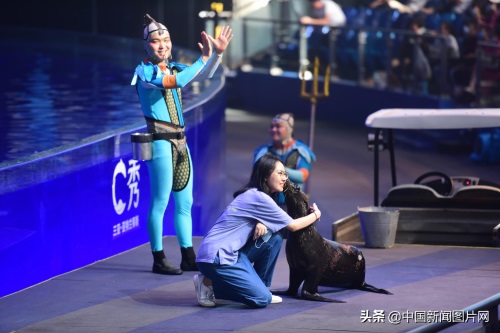 海南三亚：亚特兰蒂斯水族馆 吸引游客