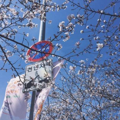 带来好运的头像图片美景