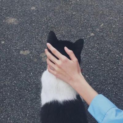 带来好运的头像图片美景