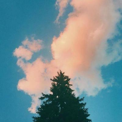 带来好运的头像图片美景