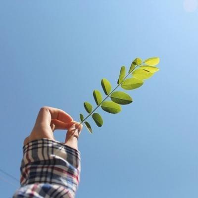 带来好运的头像图片美景