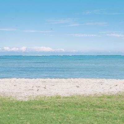 带来好运的头像图片美景